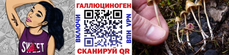 shop как зайти  Сочи  Галлюциногенные грибы Magic Shrooms 